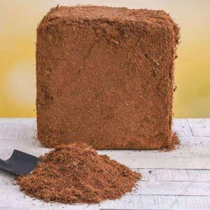 20kg Washed Coco Peat