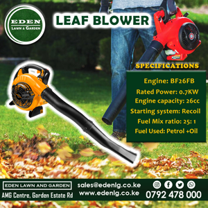 Leaf Blower with Vacuum Shredder (Petrol) - Image 2