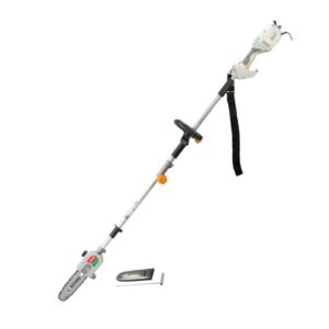 Ryobi RPS-1000 Electric Pole Saw (Telescopic Tree Pruner)