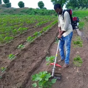 Weeders & Cultivators
