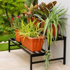 Planters, Pots & Stands
